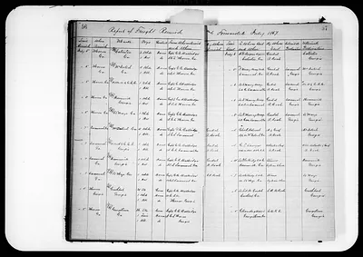 p. 31