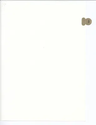 p. 8