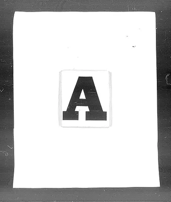 p. 4