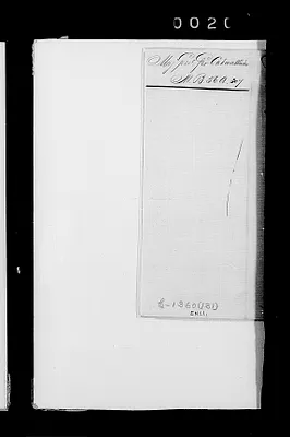 p. 23