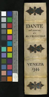 p. 5