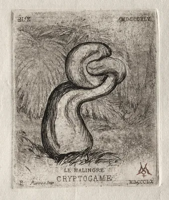 The Sickly Cryptogam