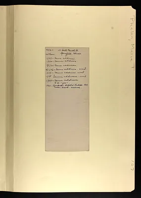 p. 19