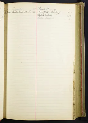 p. 29
