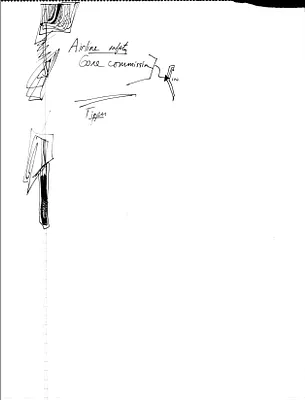 p. 8
