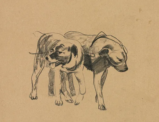 Two Dogs