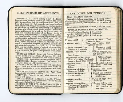 p. 19