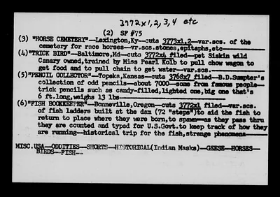 p. 41