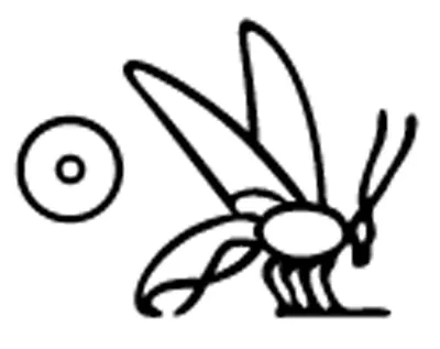 p. 5