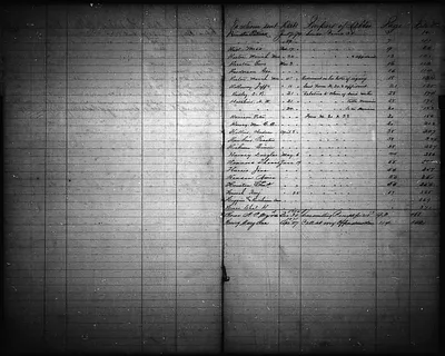 p. 11