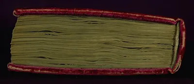 p. 7