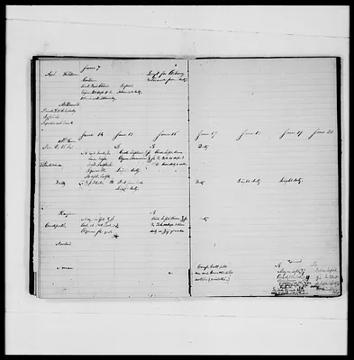 p. 31