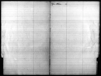 p. 41