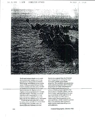 p. 31