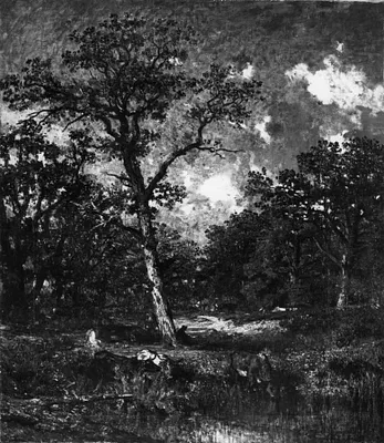 The Old Oak