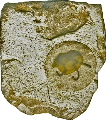p. 7
