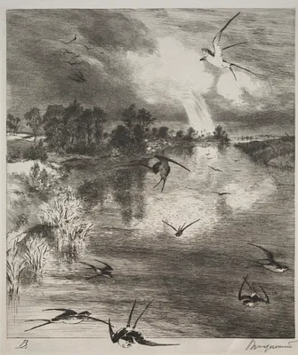 Swallows