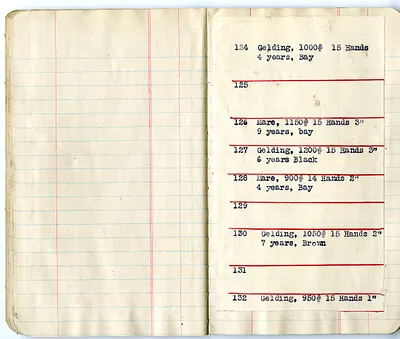 p. 16