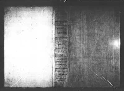 p. 6