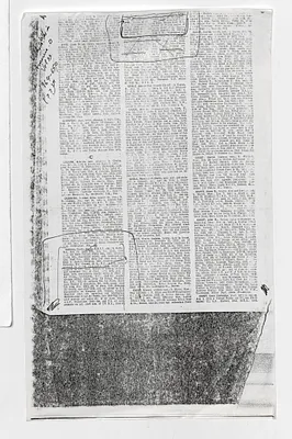 p. 19