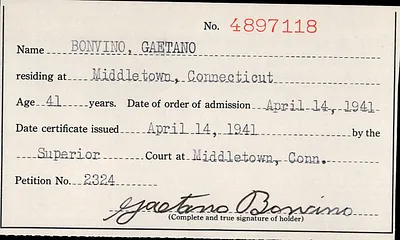 p. 31