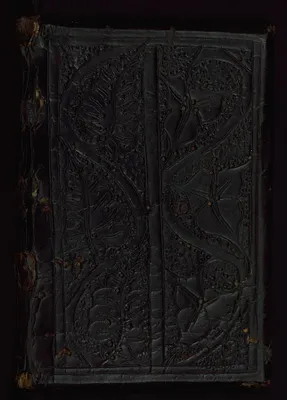 Salzburg Sermons
