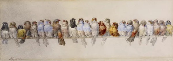 A Perch of Birds