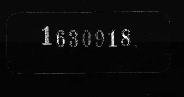 (Roll 10) Petitions for Citizenship 2643-3057; 1929-1930