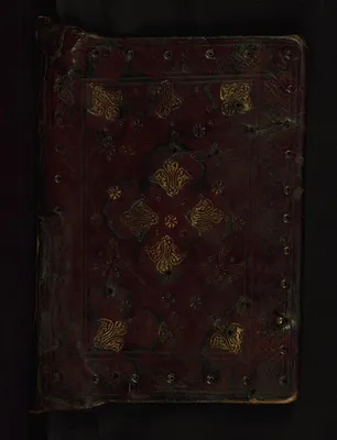 Gospels of Georg Alexief