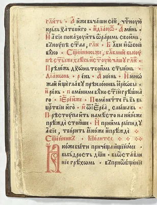 p. 54
