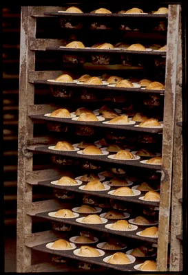 Muffins