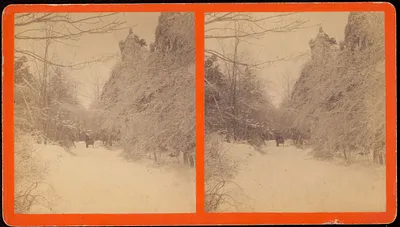 Snowy lane