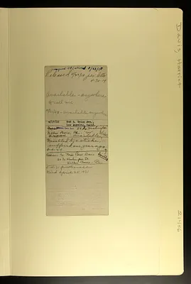 p. 7
