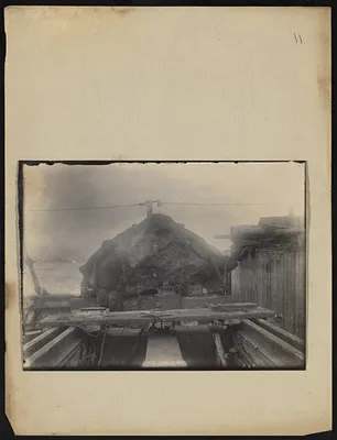 p. 31