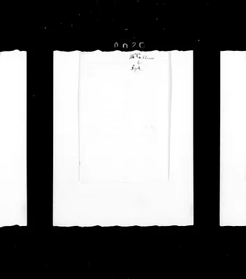 p. 31