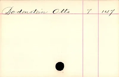 p. 31