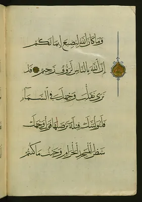 Illuminated Verse Marker