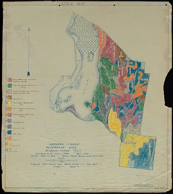 Meadow-Water Tract Harvard Forest stand map with transects of TS I-VI