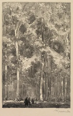 Fontainebleau Forest: Morning, Crossroads of the Route of the Forts de Marlotte (La Forêt de Fontainebleau: Le Matin, Carrefour des Fort de Marlotte)