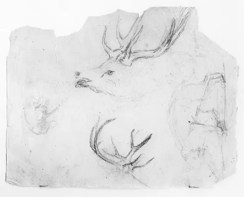 Sketches of Stags' Heads and Antlers, Prowling Panther, and Animal Combat
