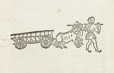 p. 11