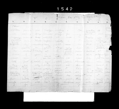 p. 52