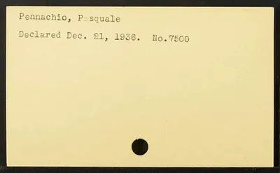 p. 7