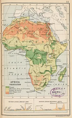Africa vegetation
