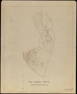 Topographic Maps of Tom Swamp-North 1948