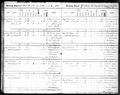 p. 17