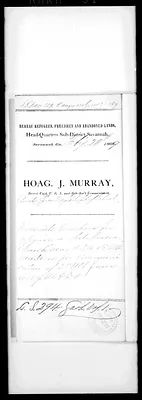 p. 31