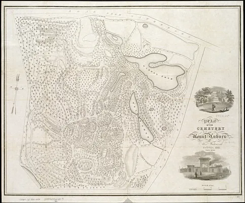 Plan of the cemetery of Mount Auburn