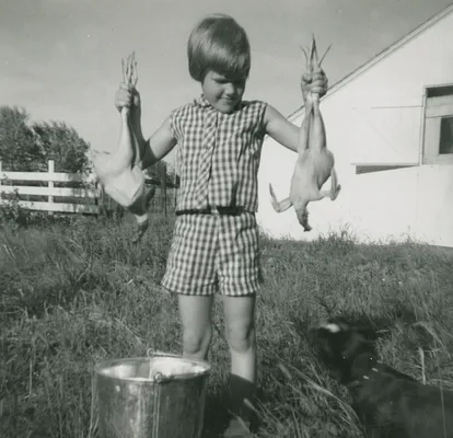 Linda (Aunt) butchering chickens, 1959