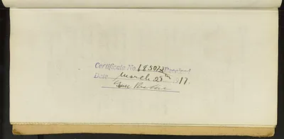 p. 45
